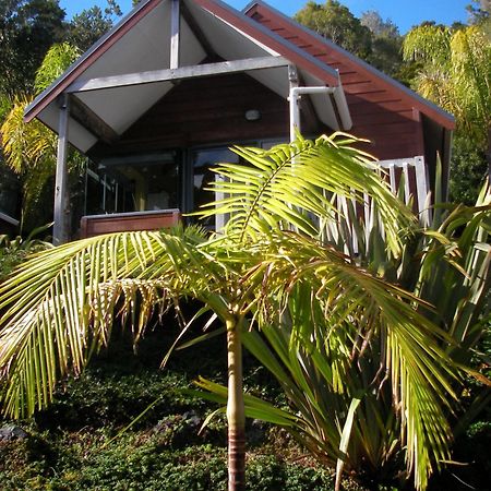 Bay Cabinz Motel Paihia Εξωτερικό φωτογραφία